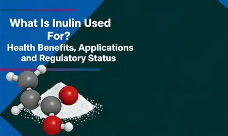 Inulin for Industrial Use: Functional Benefits, Application and Regulatory Status